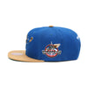 Washington Wizards All Star 2001 Mitchell & Ness Snapback Hat Royal/Tan