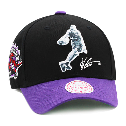 Toronto Raptors Mitchell & Ness Hardwood Classics Dad Hat Snapback Black/Purple