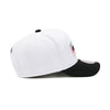 San Antonio Spurs White Mitchell & Ness NBA Team 2 Tone 2.0 Pro Snapback Hat
