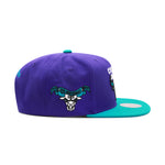 Chicago Bulls Purple Mitchell & Ness NBA Core V Snapback Hat