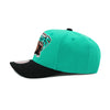 Vancouver Grizzlies Teal Mitchell & Ness XL Pro Snapback Hat
