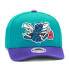 Charlotte Hornets Mitchell & Ness Curved Brim Snapback Hat - Purple/Teal