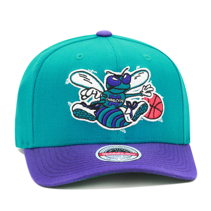 Charlotte Hornets Mitchell & Ness Curved Brim Snapback Hat - Purple/Teal