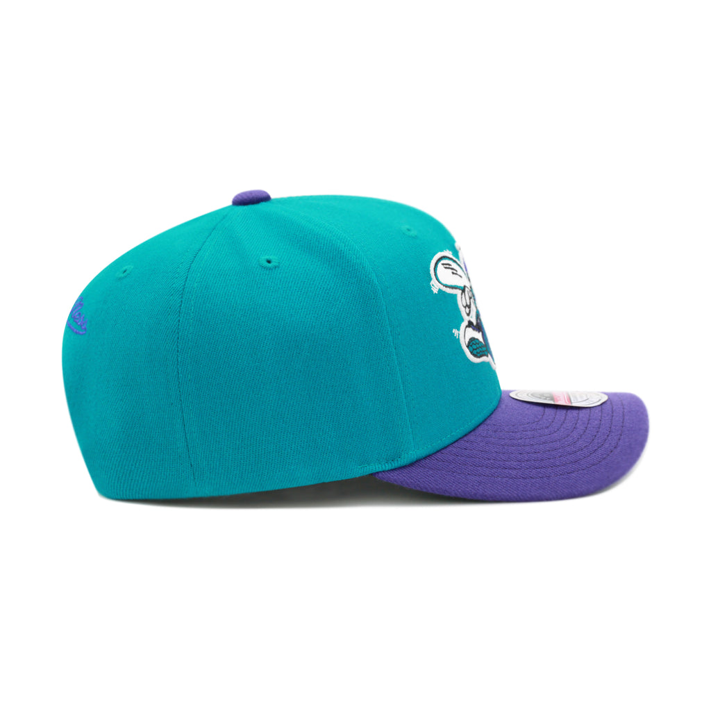 Charlotte Hornets Mitchell & Ness Curved Brim Snapback Hat - Purple/Teal