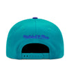 Charlotte Hornets Mitchell & Ness Curved Brim Snapback Hat - Purple/Teal