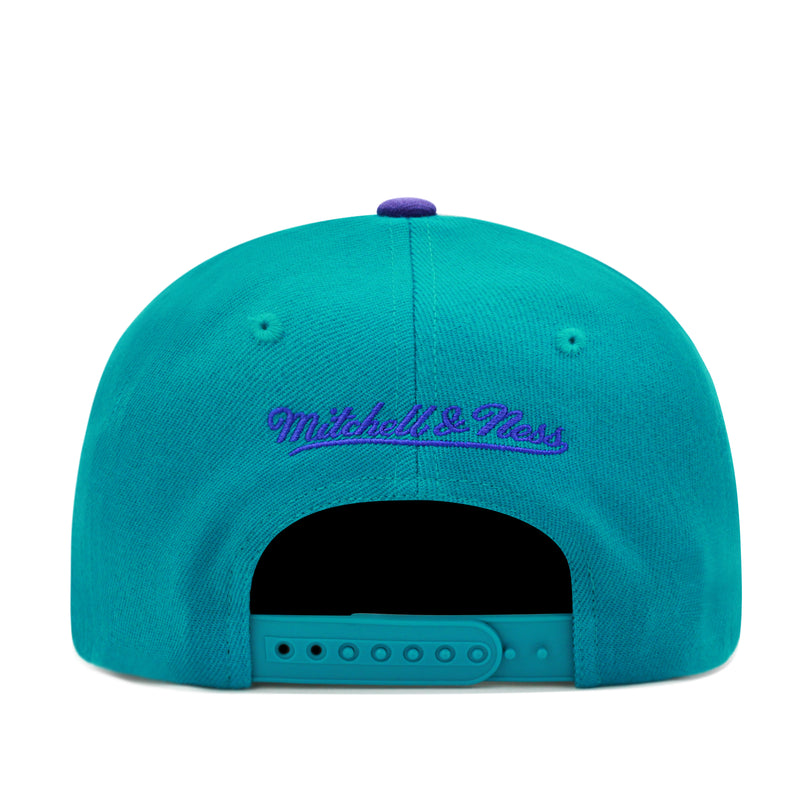 Charlotte Hornets Mitchell & Ness Curved Brim Snapback Hat - Purple/Teal