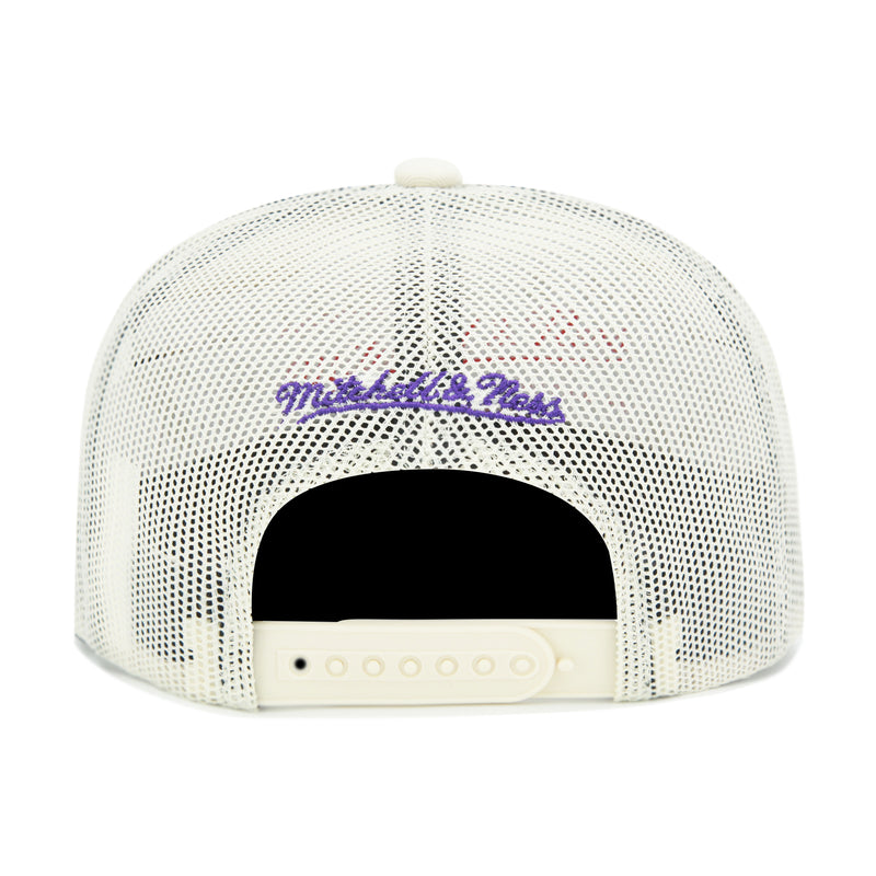 Tampa Bay Rays Cooperstown Off White Mitchell & Ness Evergreen Trucker Snapback