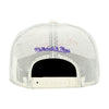 Arizona Diamondbacks Cooperstown Off White Mitchell & Ness Evergreen Trucker Snapback