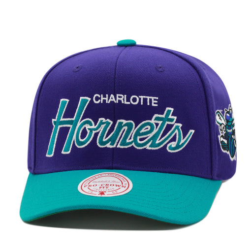 Charlotte Hornets Purple Mitchell & Ness Vintage Precurved Snapback Hat