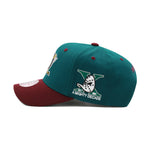 Anaheim Ducks Dark Green Mitchell & Ness Precurved Snapback Hat