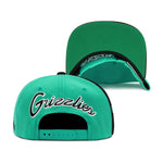 Vancouver Grizzlies Mitchell & Ness Hardwood Classics NBA Rear Script Deadstock Snapback Hat Teal/Black