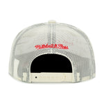 Boston Red Sox Cooperstown Off White Mitchell & Ness Evergreen Trucker Snapback