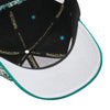 Anaheim Mighty Ducks Black Mitchell & Ness Pro Crown Precurved Snapback Hat