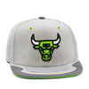 Chicago Bulls Gray/Neon Jordan 4 Mitchell & Ness Day 4 Snapback Hat