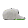 Chicago Bulls Gray/Neon Jordan 4 Mitchell & Ness Day 4 Snapback Hat