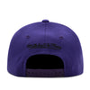 Sacramento Kings Purple Mitchell & Ness Precurved Snapback Hat