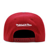 Philadelphia Phillies Maroon Cooperstown Mitchell & Ness MLB Team Pro Snapback