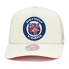 Detroit Tigers Cooperstown Off White Mitchell & Ness Evergreen Trucker Snapback