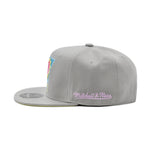 Phoenix Suns Mitchell & Ness Fitted Hat Grey