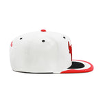 Chicago Bulls White/Red Jordan 4 Mitchell & Ness Day 4 Snapback Hat