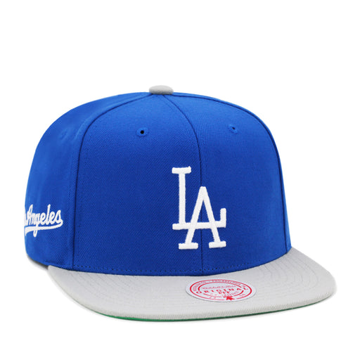 Los Angeles Dodgers Royal Grey Mitchell & Ness MLB Evergreen Snapback Hat