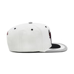 Chicago Bulls White/Silver Jordan 4 Mitchell & Ness Day 4 Snapback Hat