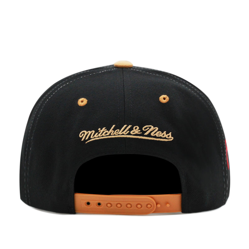 Philadelphia 76ers Hardwood Classics Black Mitchell & Ness NBA Overbite Pro Snapback