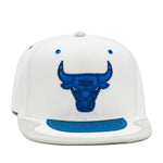 Chicago Bulls White/Blue Jordan 4 Mitchell & Ness Day 4 Snapback Hat