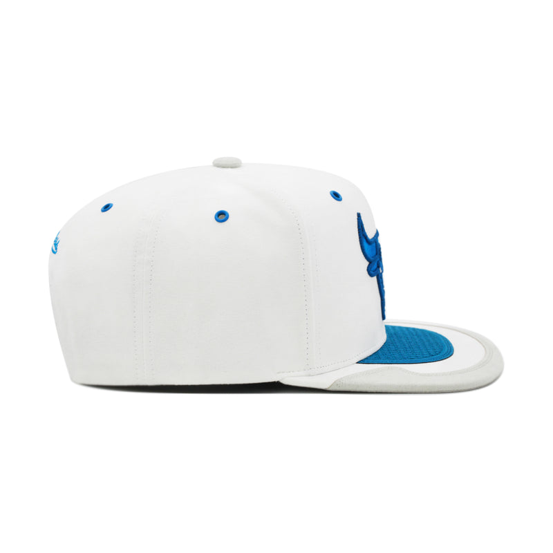 Chicago Bulls White/Blue Jordan 4 Mitchell & Ness Day 4 Snapback Hat