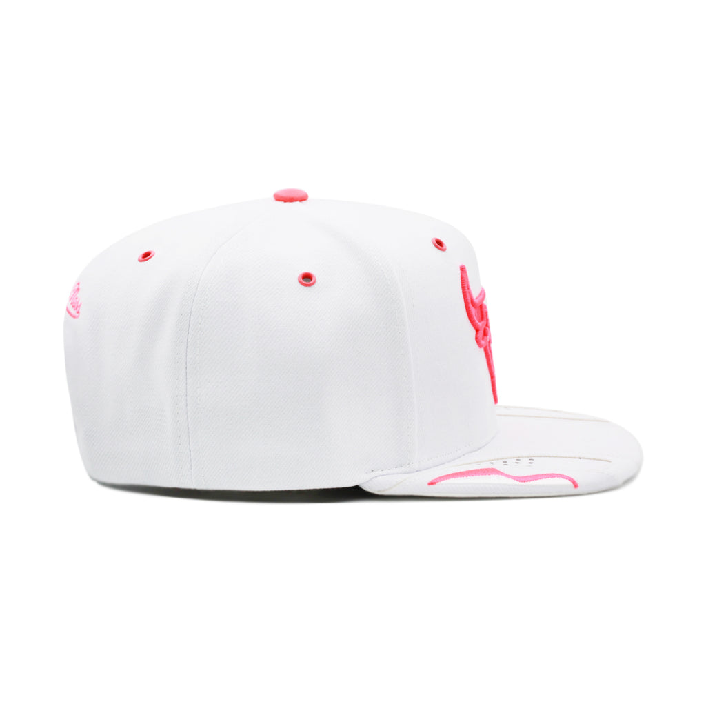 Chicago Bulls White Jordan 6 Mitchell & Ness Day 6 Snapback Hat