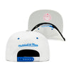 Chicago Bulls White/Blue Jordan 4 Mitchell & Ness Day 4 Snapback Hat