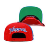 Denver Nuggets Mitchell & Ness Hardwood Classics NBA Rear Script Deadstock Snapback Hat Red/Royal