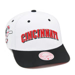 Cincinnati Reds Mitchell & Ness Cooperstown Evergreen Pro Snapback - White