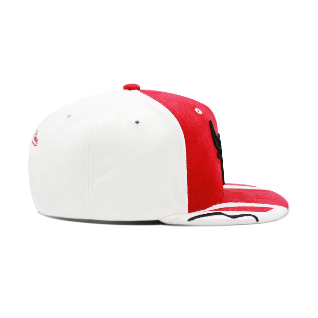 Chicago Bulls Red Jordan 6 Mitchell & Ness Day 6 Snapback Hat