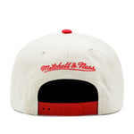 Detroit Red Wings Off White Mitchell & Ness Precurved Snapback Hat