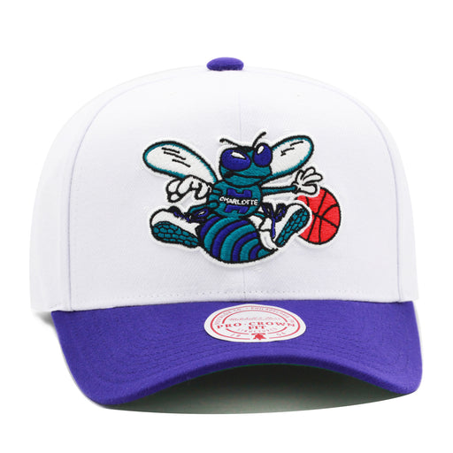 Charlotte Hornets White Mitchell & Ness 2 Tone Precurved Snapback Hat