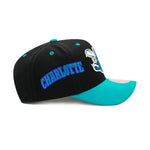 Charlotte Hornets Hardwood Classics Black Mitchell & Ness NBA Overbite Pro Snapback