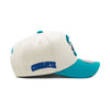 Charlotte Hornets Off White Mitchell & Ness Precurved Snapback Hat