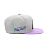 Arizona Diamondbacks Grey Mitchell & Ness MLB Away Cooperstown Snapback Hat