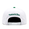 Boston Celtics White Mitchell & Ness 2 Tone Precurved Snapback Hat