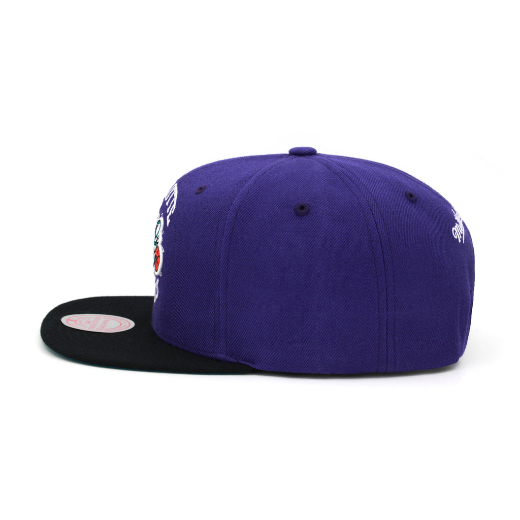 Charlotte Hornets Mitchell & Ness Snapback Hat Purple/Black