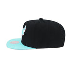 Chicago Bulls Black Mitchell & Ness Pastel Snapback Hat