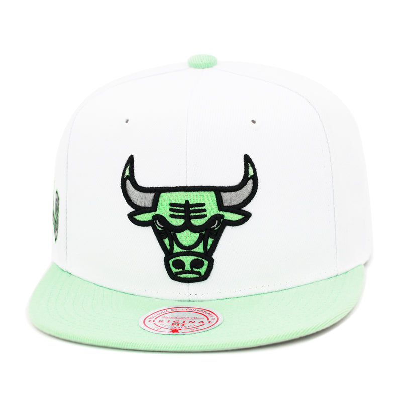 Chicago Bulls NBA Pure Platinum Mitchell & Ness Snapback Hat White/Mint Green