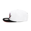 Toronto Raptors Mitchell & Ness Core Basics Snapback Hat White/Black
