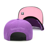 Toronto Raptors Mitchell & Ness Snapback Hat Pastel Purple/Pink Bottom