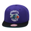 Charlotte Hornets Mitchell & Ness Core Basic Snapback Hat Purple/Black