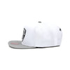 Brooklyn Nets Mitchell & Ness Core Basic Snapback Hat White/Grey