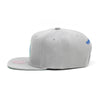 Minnesota Timberwolves Mitchell & Ness Core Basics Snapback Hat Grey