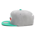 San Antonio Spurs Mitchell & Ness Core Basics Snapback Hat Grey/Teal