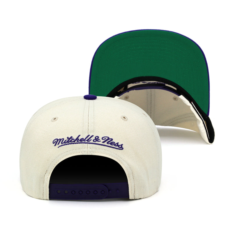 Toronto Raptors Mitchell & Ness Snapback Hat Natural/XL Logo